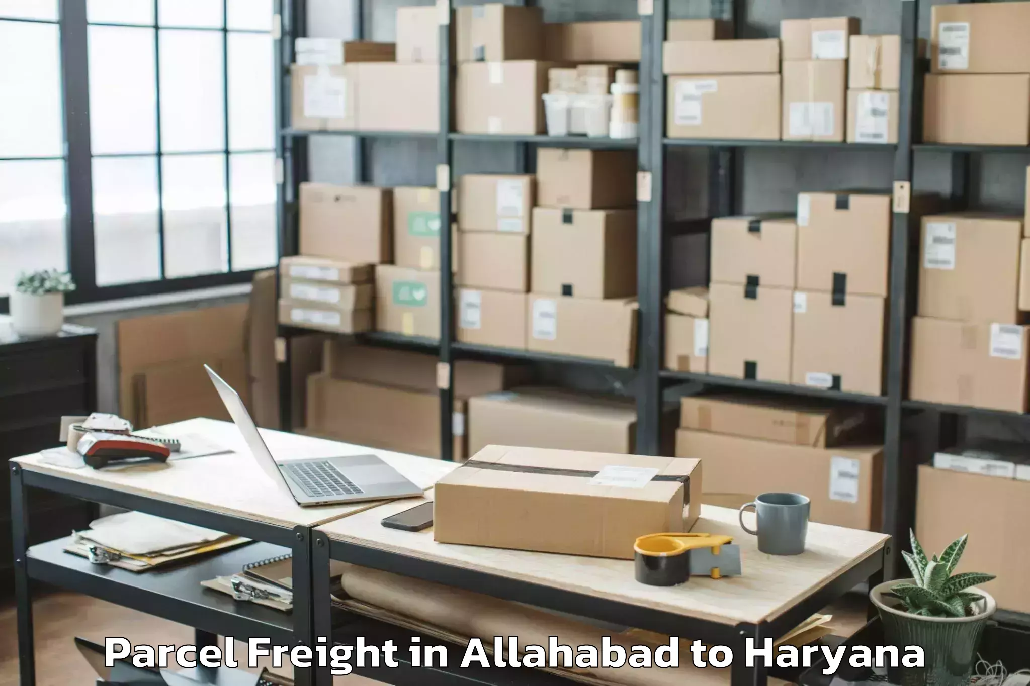 Top Allahabad to Samalkha Parcel Freight Available